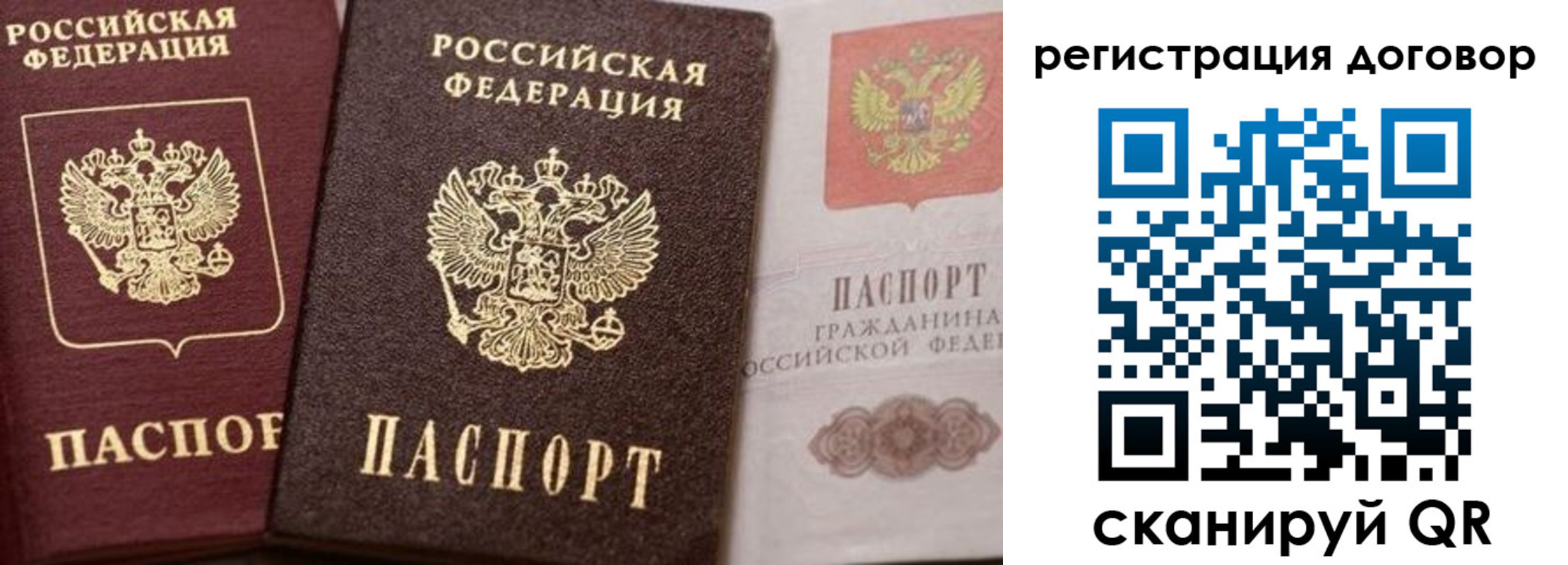 прописка 2025 в Кораблино